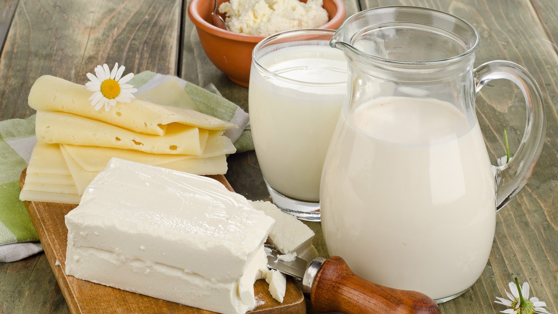 Produção de queijo e leite